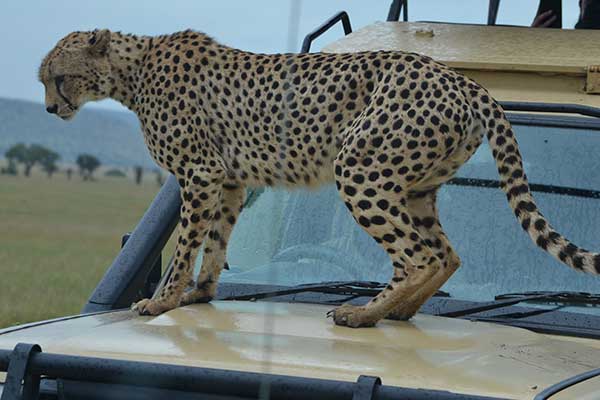 Tarangire National Park