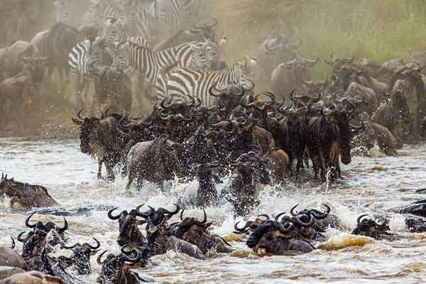 Great Migration