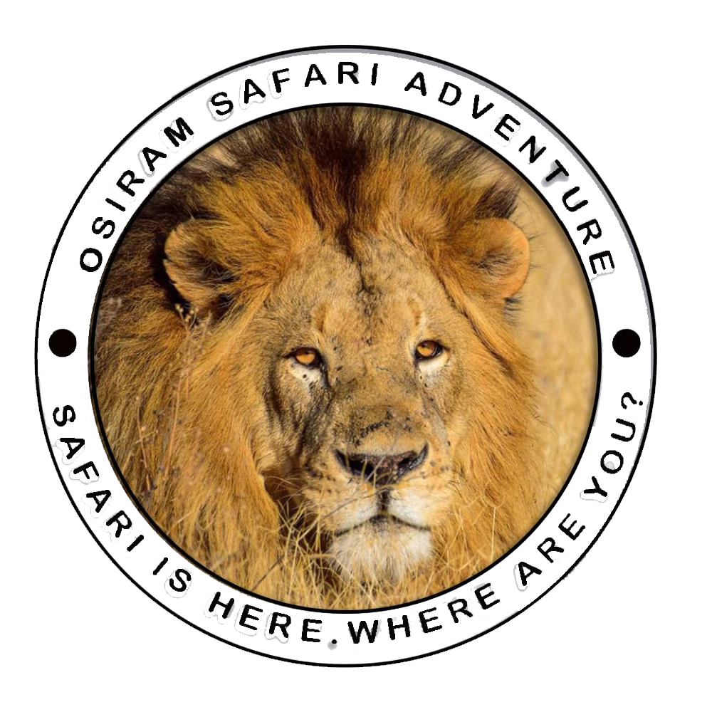 Osiram Safari Adventure