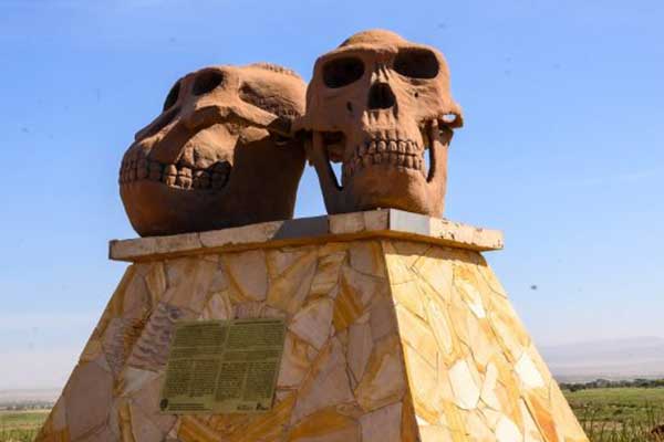 5 Days Safari Adventure - Serengeti safari adventure with wildlife viewing