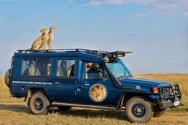 6 Days Safari Adventure - Serengeti safari adventure with wildlife viewing